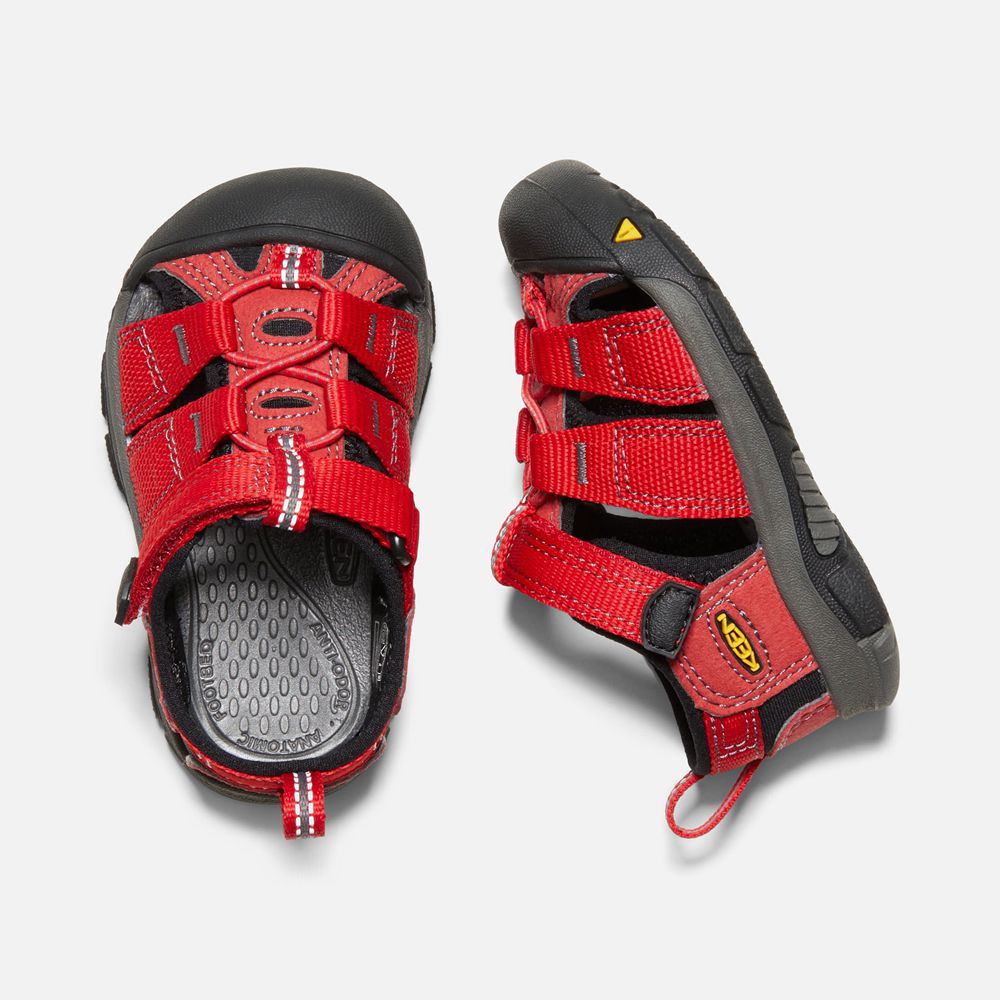 Sandalias Keen Mexico Rojos - Niños Newport H2 - DH0193426